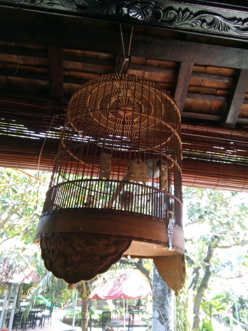 Lồng chim 2