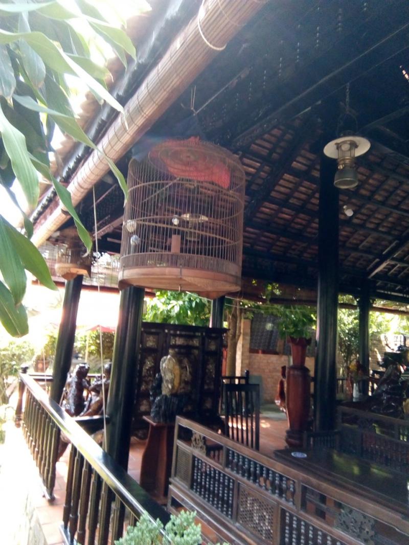 Lồng chim 4