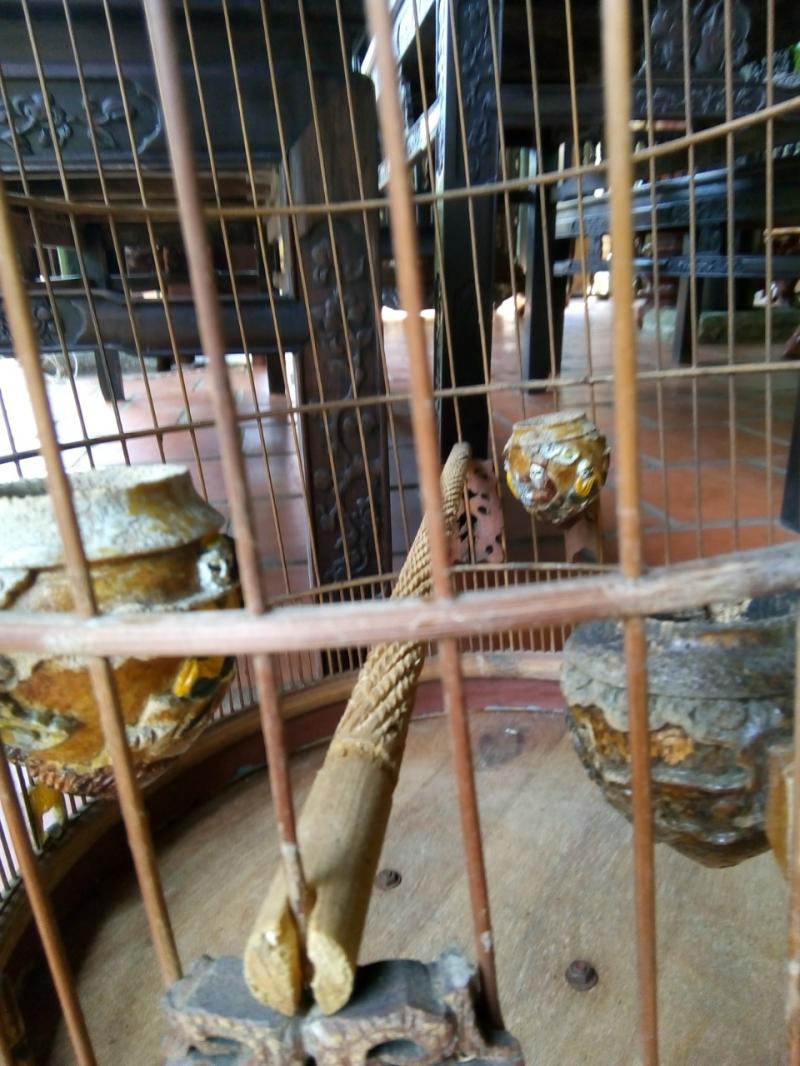 Lồng chim 5