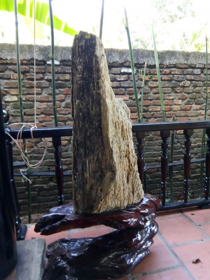 Gỗ hóa thạch lên mã não
