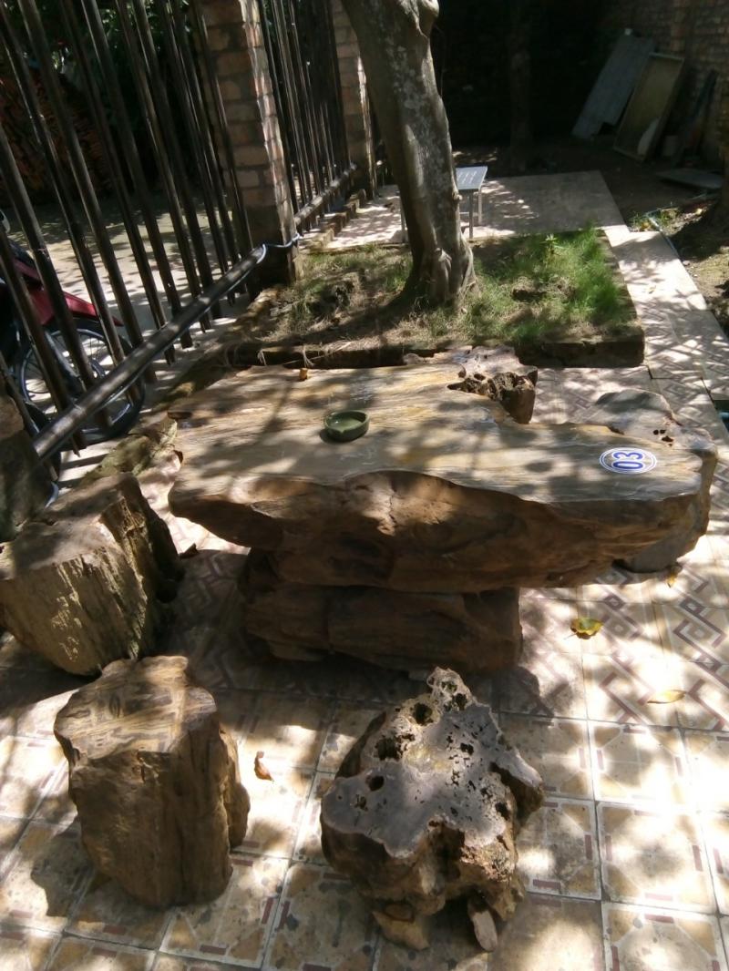 Bàn gỗ hóa thạch 