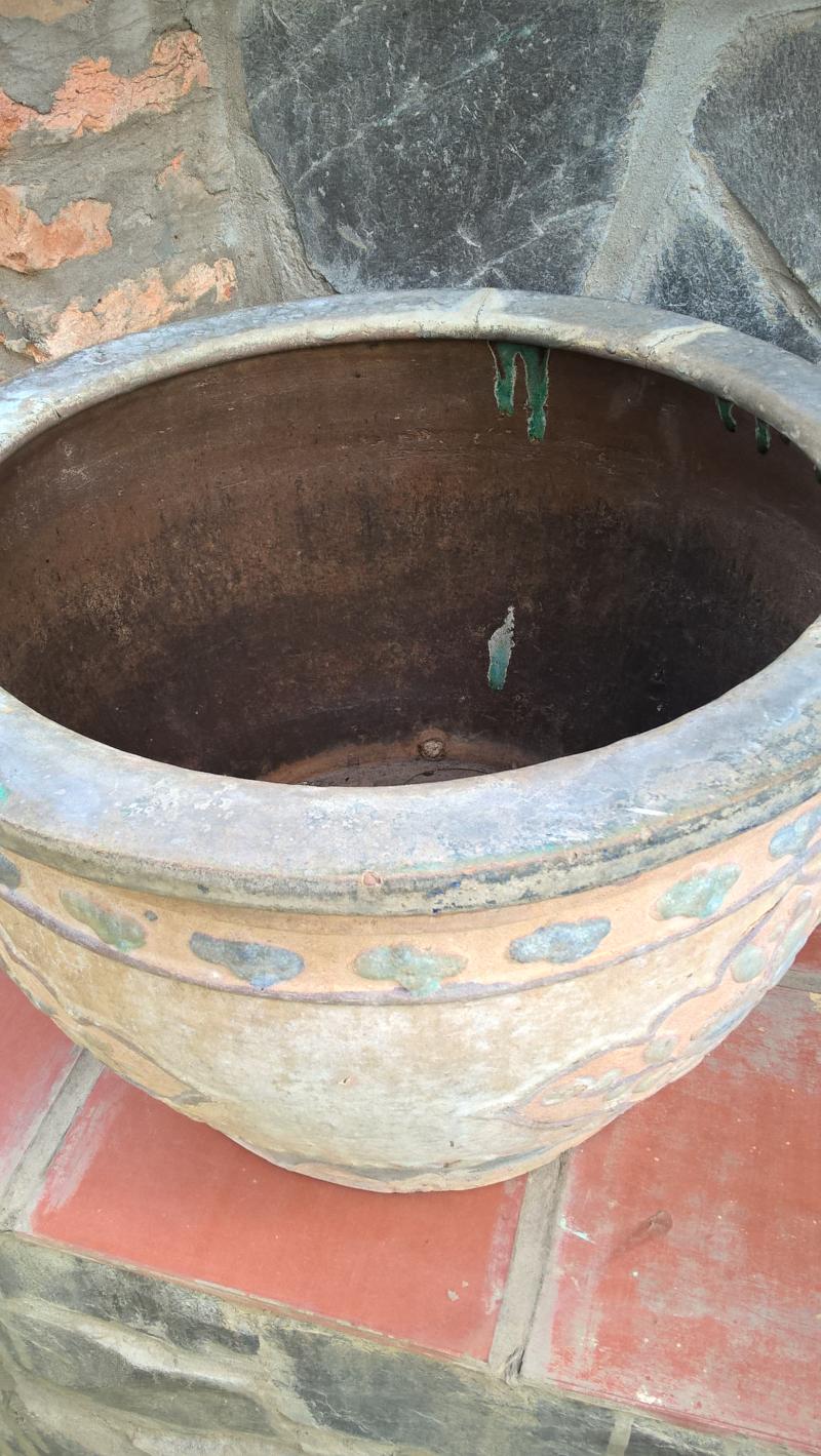 Chậu cây mai tròn 5 tấc